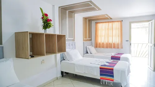 โรงแรม Playa Divina - สัตว์เลี้ยง