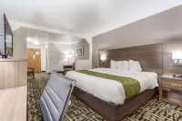 Quality Inn & Suites Omaha Chalco - parking