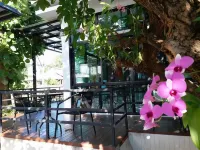 Areena Hotel Phitsanulok Hotels in Phitsanulok