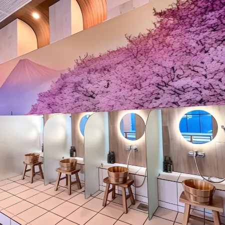 The Yanné, Onsen Hotel