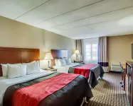 Comfort Inn & Suites Raphine - Lexington Near I-81 and I-64 Hotels in South River