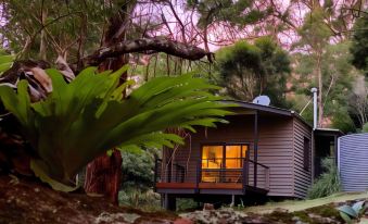 a small wooden house with a small balcony , surrounded by trees and a river , on a sunny day at Whispering Valley Cottage Retreat