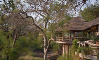 Mashatu Lodge - Mashatu Game Reserve