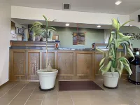 Knights Inn Slaton