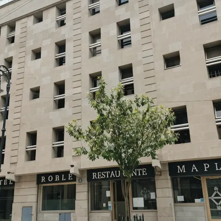 Hotel Roble Отели рядом с достопримечательностью «Площадь Конституции»
