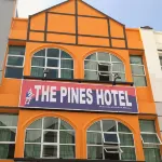 The Pines Hotel Hotels near Masjid Lojing / Masjid Keputeraan / Masjid Long Tan, Lojing Highlands