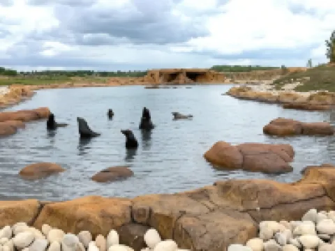 Hex Wildlife Hotel at Yorkshire Wildlife Park Hotels in Doncaster