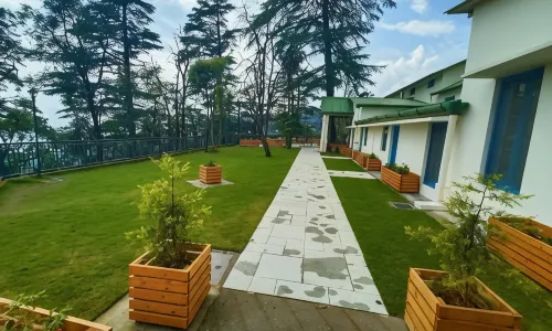 Hotel Pine Retreat Mallroad