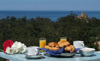 Capo d'Orto - Porto - Corse