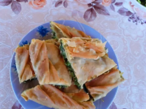 Hotel Kaso Ervehe Hotels in Permet