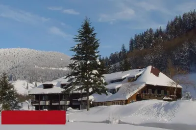 Hotel Lawine Hotels in Todtnau