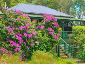 Observatory Cottages