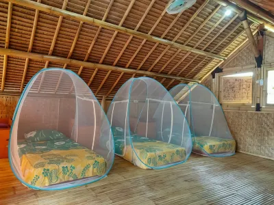 Fantastic B"n"B Hotels in 