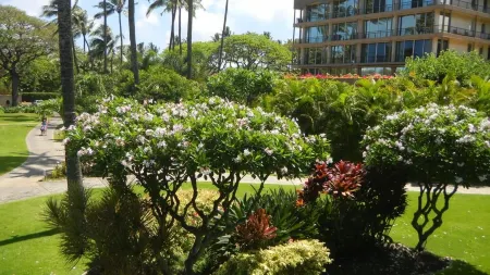 Exquisite Condo with an Awesome Ocean View Emerald 289