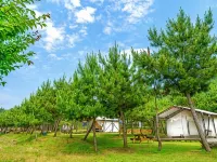 Seocheon Paintree Glamping Hotels in Seocheon-gun