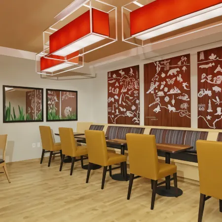 TownePlace Suites New Orleans Harvey/West Bank Отели в г. Жан Лафитт