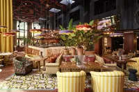 ماما شيلتر ديجون فنادق في ديجون