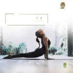 Rhythm Lonavala - An All Suite Resort - Gym