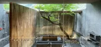 Onsen Papawaqa - balcony