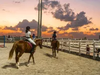 Al Habtoor Polo Resort Hoteles cerca de Universidad Zayed