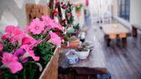 Shengsi Wushe Scenic Vacation Homestay (Jihu Beach) - 빌라