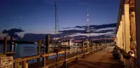Charming 1-bedroom apartment with King Bed.  No Stairs.  Steps to the Ocean. - Apartments