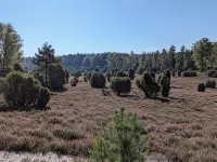 Quietly located holiday home with a natural garden, 500m from the lake and the forest Hotels in Templin