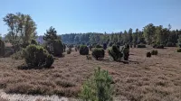 Quietly located holiday home with a natural garden, 500m from the lake and the forest