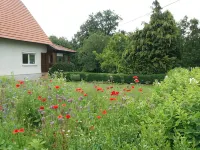 Holiday house on the Iller - 4-Star