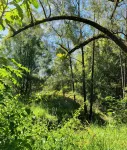 Stoney Chute Studio - 3 ดาว