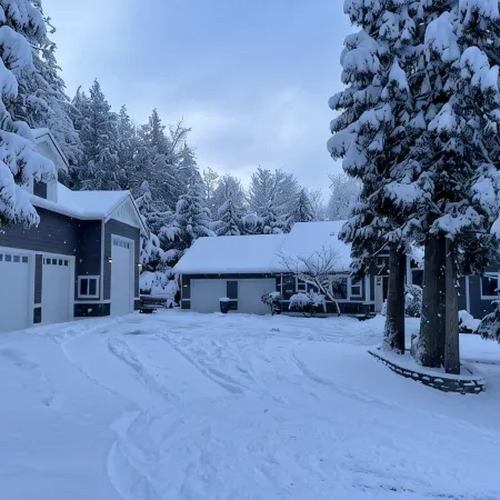 Ride galbraith mountain from your door! Cozy Bellingham apartment in the woods.