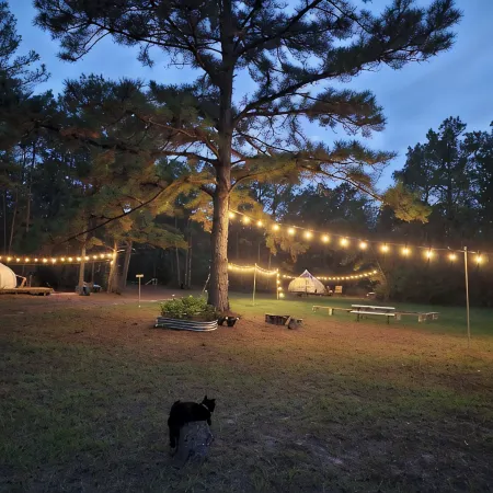 Milky Way with AC and WiFi, glamping near Houston