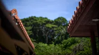 Rereso Okinawa Churaumi - vue sur la montagne