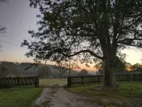 Lovely Farm Stay in the Northern Granite Belt. 8 Minutes From Wineries