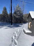 Cozy Cabin in the Pines Address: 4763 S View Rd Prescott AZ 86303 - Hytter
