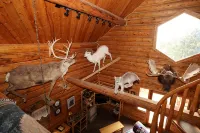 Unique Alaskan Log Home in Trees & Wild Flowers on 14-Acre Private Homestead.