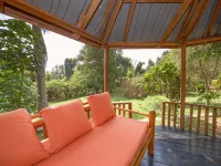 Papyrus Guest House Hotele w: Entebbe