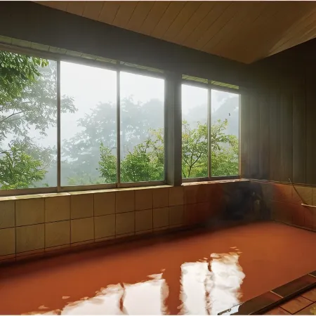Tengu Onsen Asama Sanso