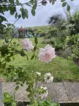 Wydon Farm Bed and Breakfast - 주차장