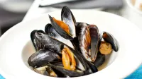 Carlton Hotel - Pet-friendly