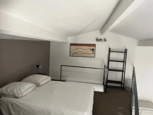 Roxane's Loft Apartment in the historic center of Aix en Provence - Homestays