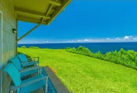 Mesmerizing Ocean View -Hawaiiana Style Walkout Unit - Whale and Bird Watching - 3-Star