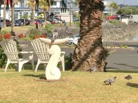 Half Moon Bay Motel Hotels near Howick