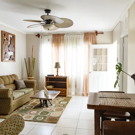 New Kingston Guest Apartment VII