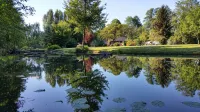 HOLIDAY IN THE POND MEADOWS - A PARADISE FOR NATURE LOVERS AND PEACEFUL PEOPLE - 民泊