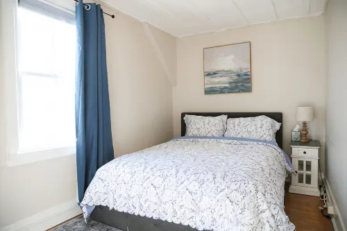 Cozy 2bdrm Apt. Walk  downtown bring your pets - Apartments