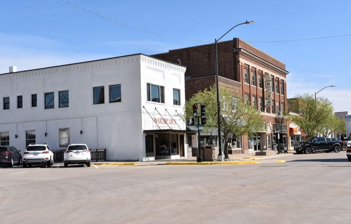 Newly Renovated family-sized apartment downtown, lots of light!