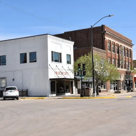 Newly Renovated family-sized apartment downtown, lots of light!
