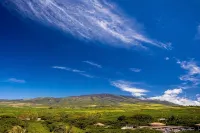 1 bedroom at Honua Kai Mountain view remodeled April 2023 King Bed, Central AC - Private Pools