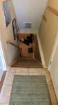 Great location!    A short walk to MSU and downtown!!! - 3-Star